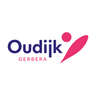 Oudijk Gerbera
