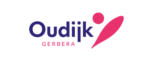 Logo van Oudijk Gerbera